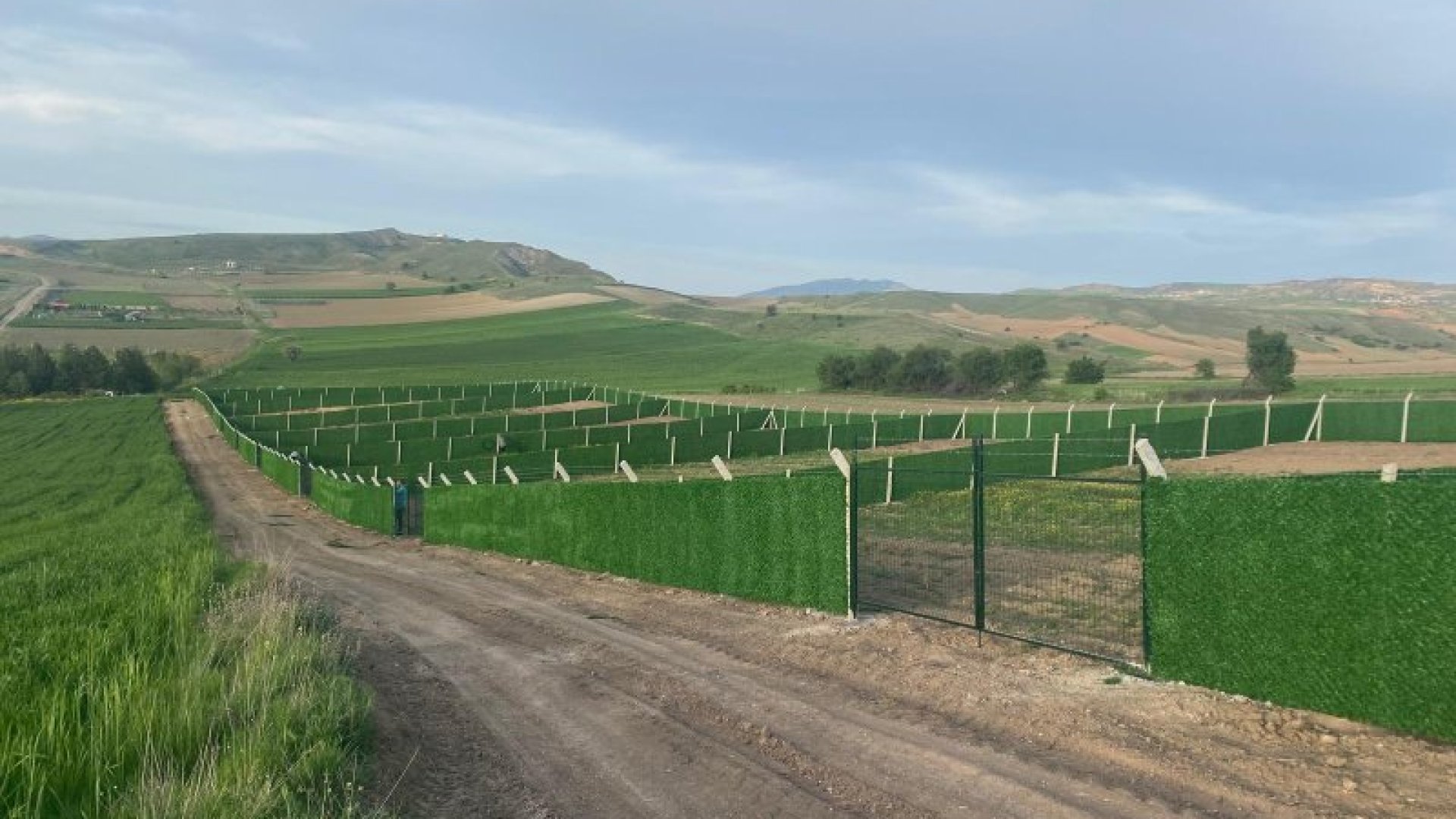 Çimçit Uygulamaları